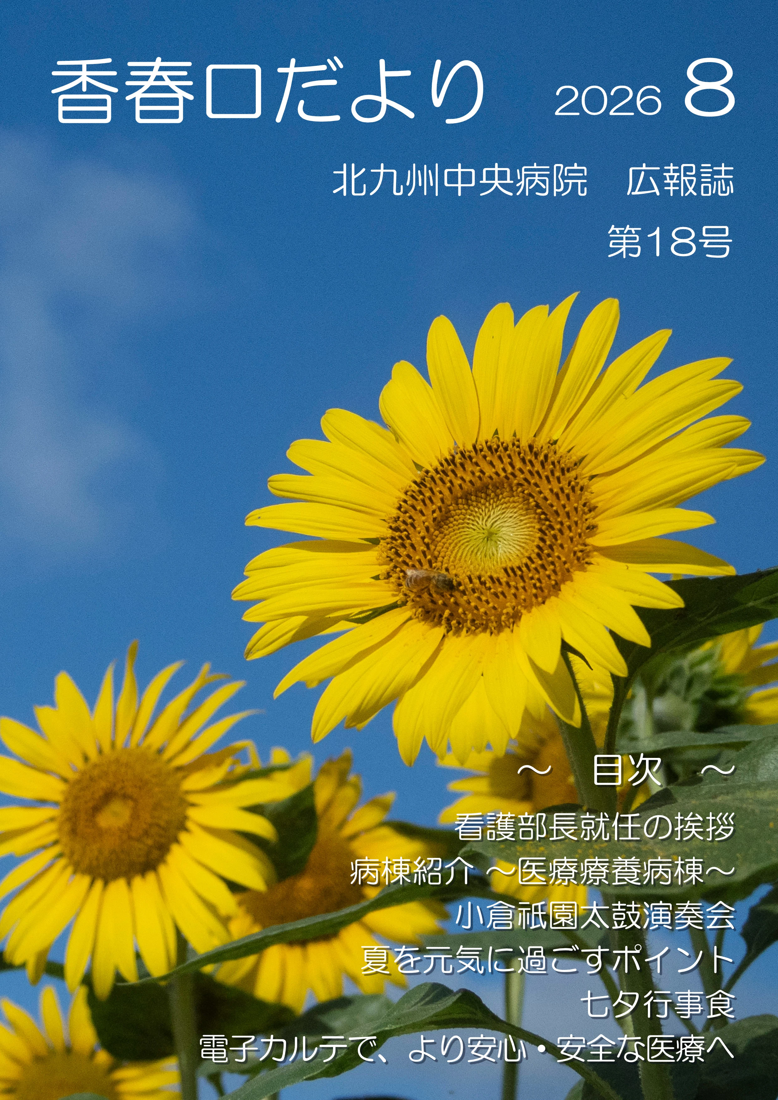 第18号